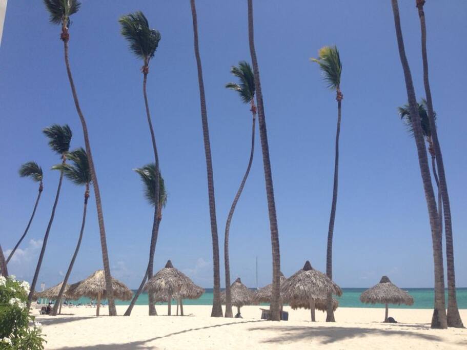 playa los corales