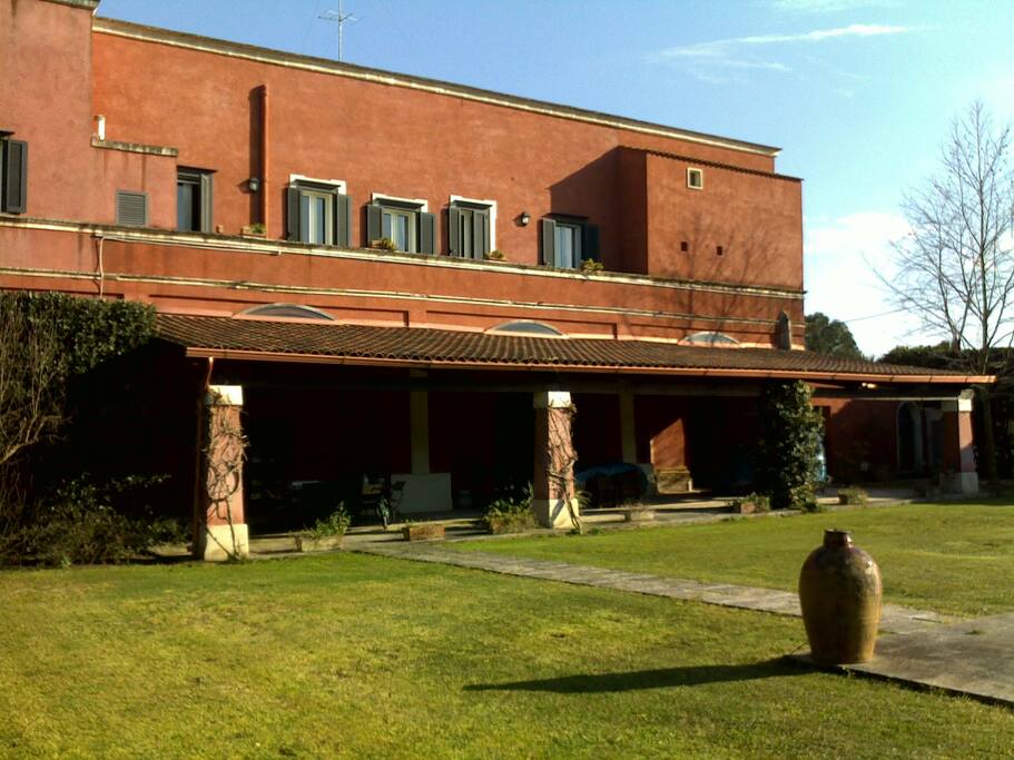 Fronte appartamento in affitto pt