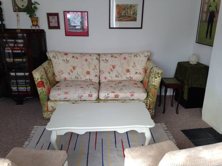 The comfy sofa which a friend calls "the hammock" because you sink right in to its feathery cushions