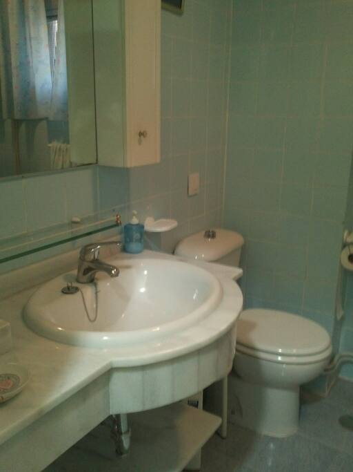 Baño con plato de ducha.