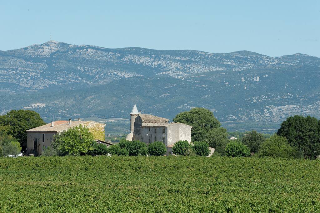 Le domaine entre vignes et garrigues