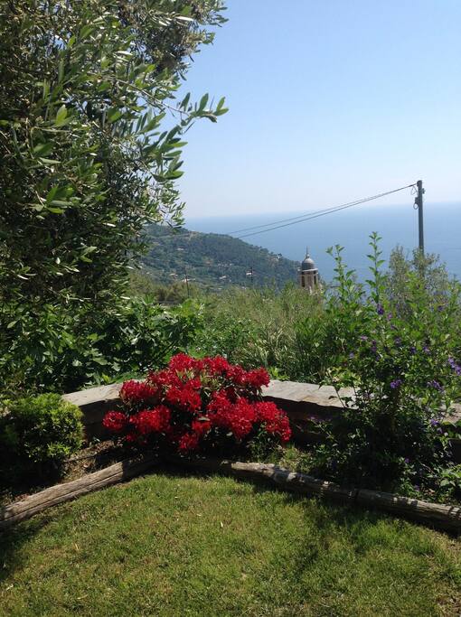 il panorama