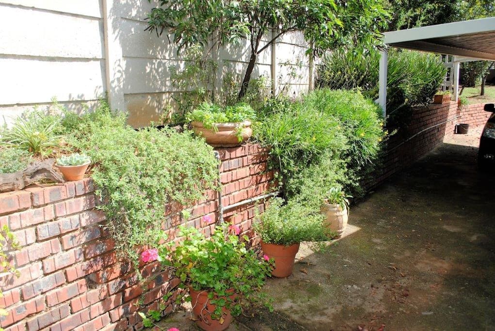Outside area with parking