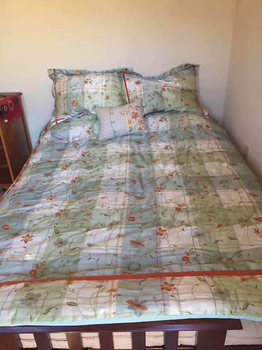 Comfortable Queen Futon .... Relax in bed while watching Satellite TV or reading a good book after your travels.