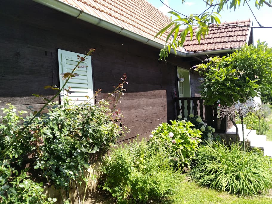 Stunning Period Cottage beautifully modernised with Pool set in a small vineyard