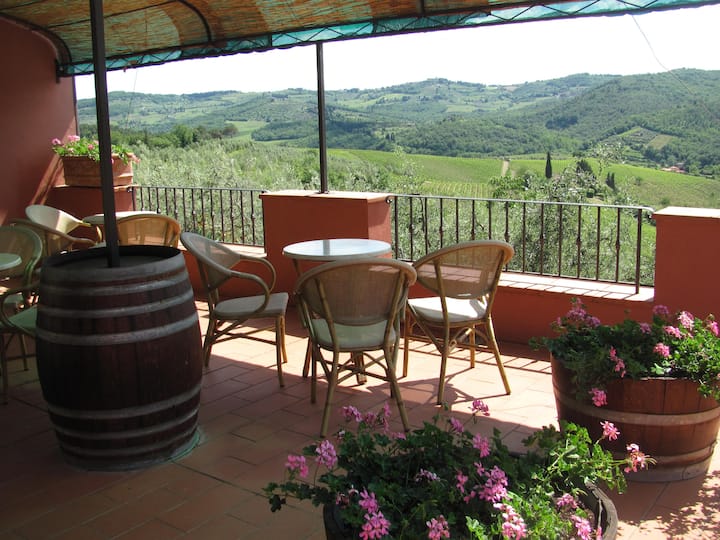 Small and cozy apartment in a Chianti Winefarm Farm stays for Rent in Greve in Chianti