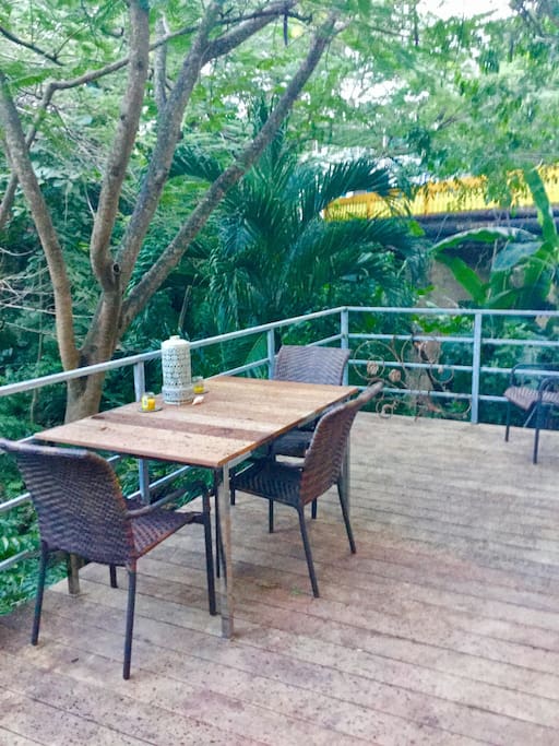 Private Deck overlooking Arroyo with Iguanas, sounds of Waterfall and nighttime songs of Coqui Frogs!