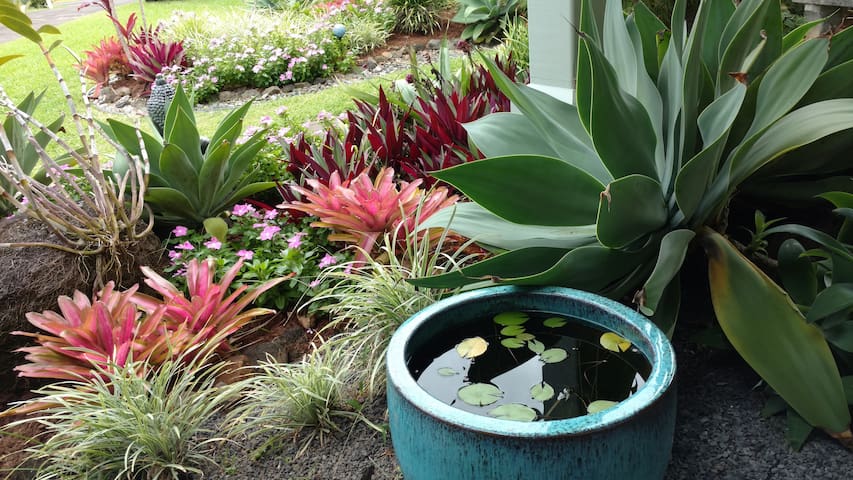 Heavenly VIEWS – OCEAN, Sky & Landscape 4Br3Ba A/C gallery image 2