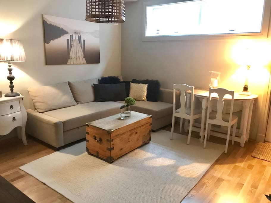 Living room with sofa / Sofa bed (140 cm width)