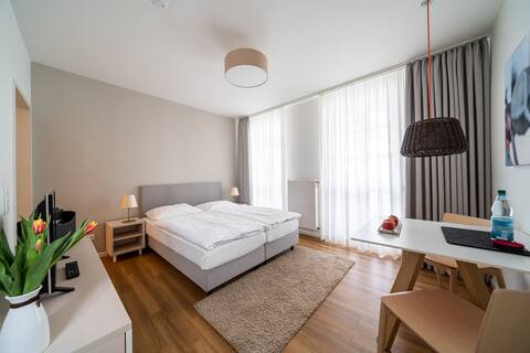Modern 1 room apartment