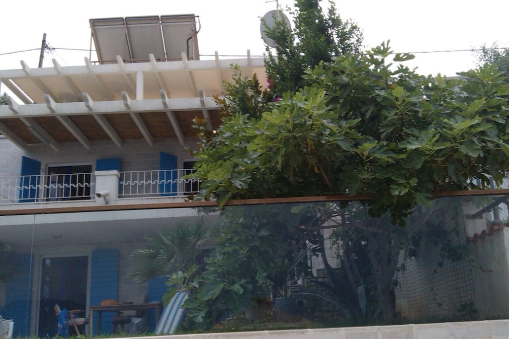 Villa with garden