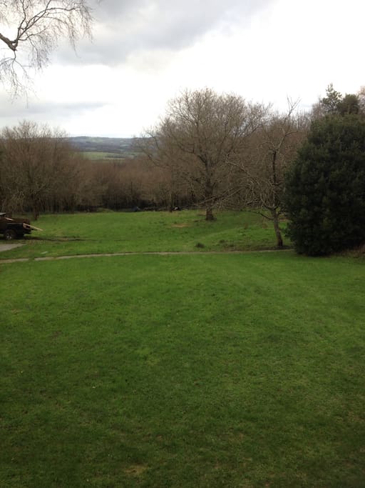 The garden