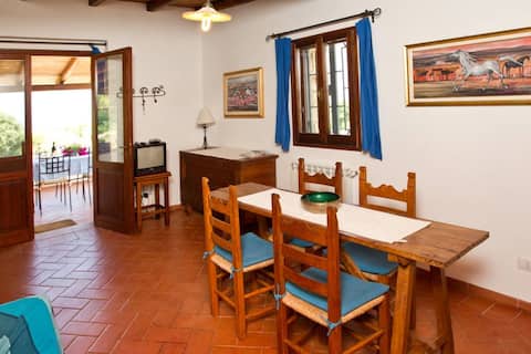 Proprietà Airbnb di successo: Villa Caprifogli a Alghero