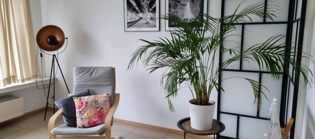 SUPERB APPARTEMENT WITH 3 BED ROOMS IN ANTWERPEN gallery image 3