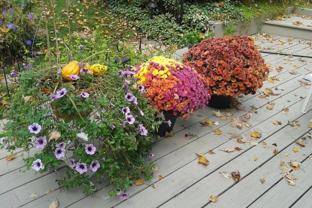 ALWAYS A DELIGHT AS THE SEASONS CHANGE