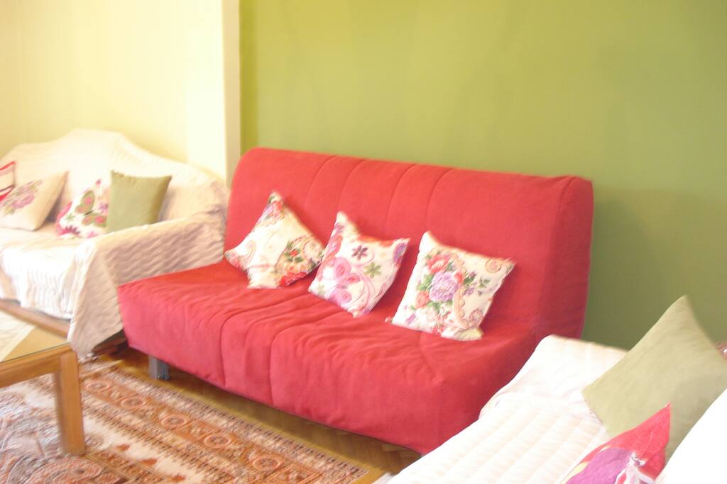 sofa bed/futon