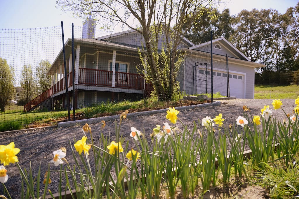 Cumbria Guest House Houses for Rent in Sebastopol, California, United