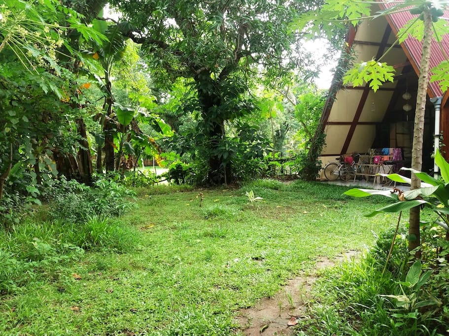 Our garden in rainy season