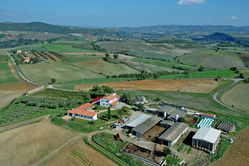 Visuale aerea dell'agriturismo e dell'azienda