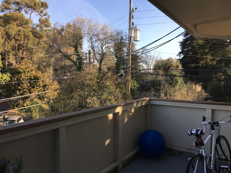 Big balcony around trees.