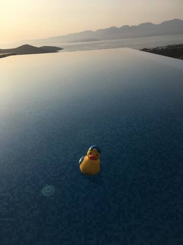 Villa Estee : private infinity pool en jacuzzi gallery image 3