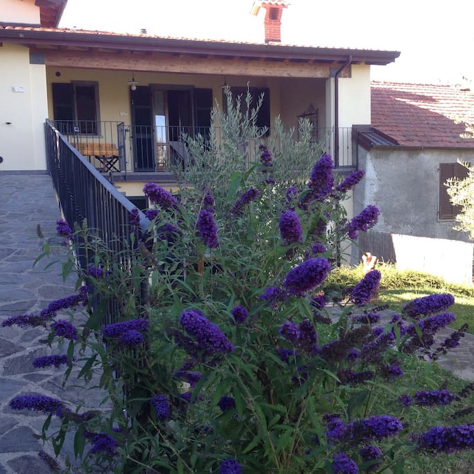 I nostri fiori.