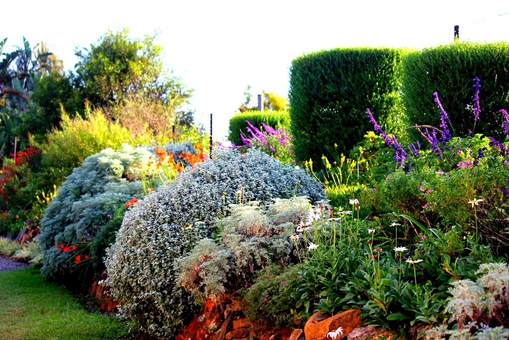 Terrace garden.