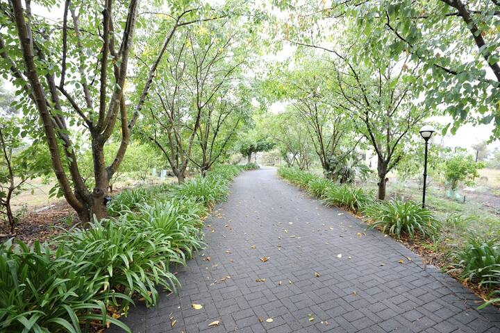 Private exclusive resort – 40 Min to City gallery image 4