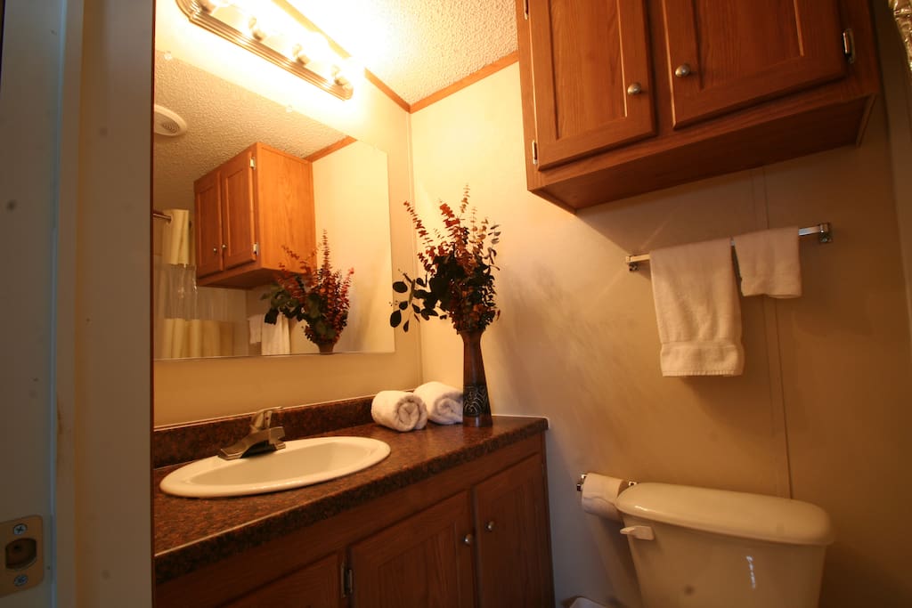 Private ensuite bathroom