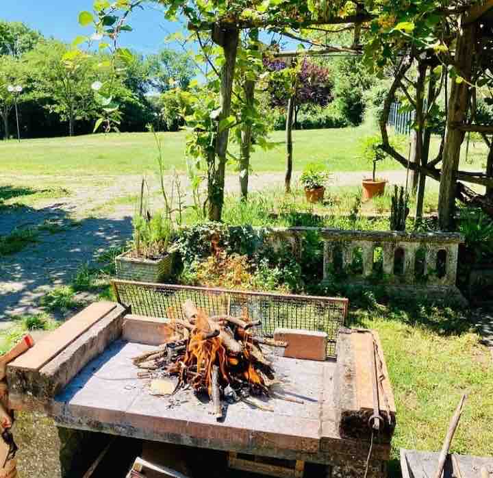 A barbecue area is shown with a stone table featuring a wood fire pit at the center. Surrounding greenery and potted plants create a natural backdrop. Sunlight filters through the leafy pergola above, enhancing the outdoor setting.