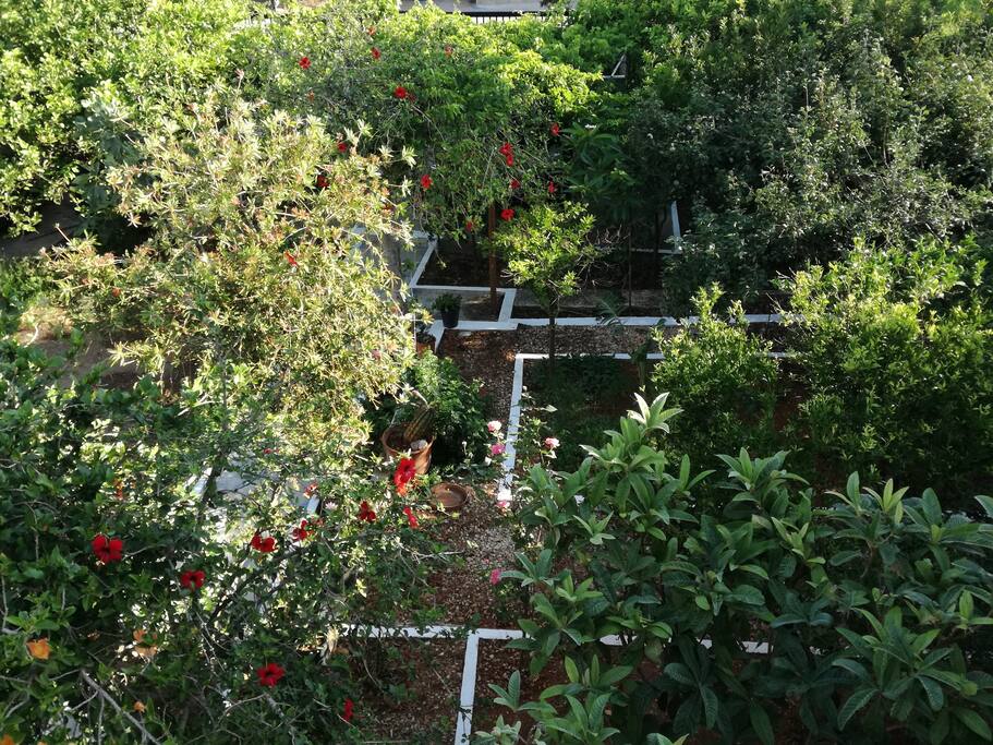 View from balcony