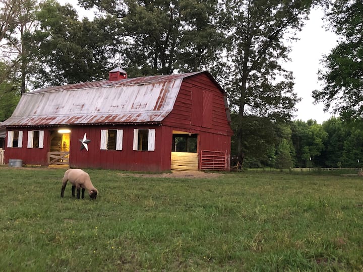 Top 10 Ranches To Stay In Arkansas, USA Updated 2024 Trip101