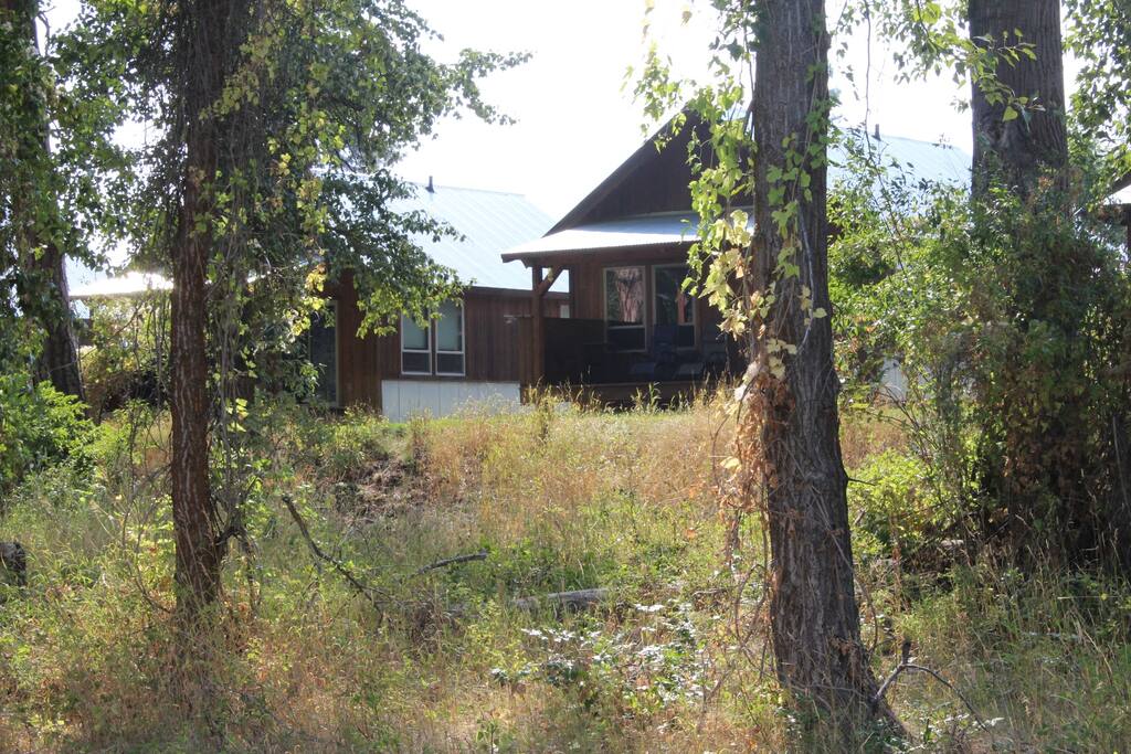 Cabin #5