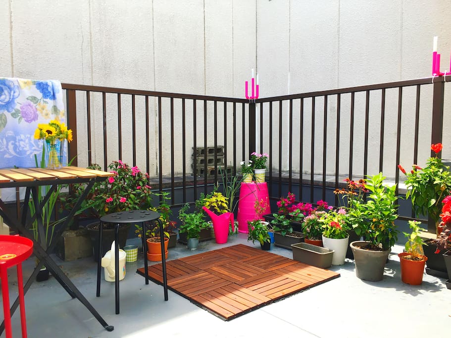 The Roof-Top Garden