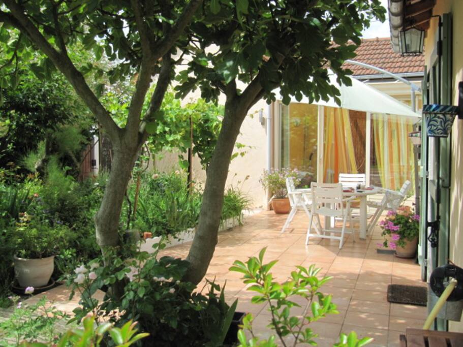Terrasse