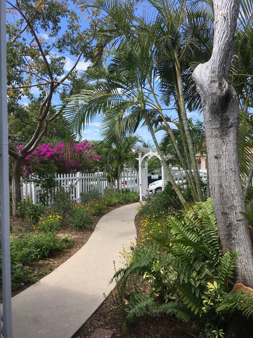 The front yard from the porch