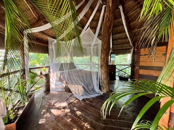 Exclusive Treehouse & Cenote ~ Sweet Jungle Dreams - Treehouses for ...