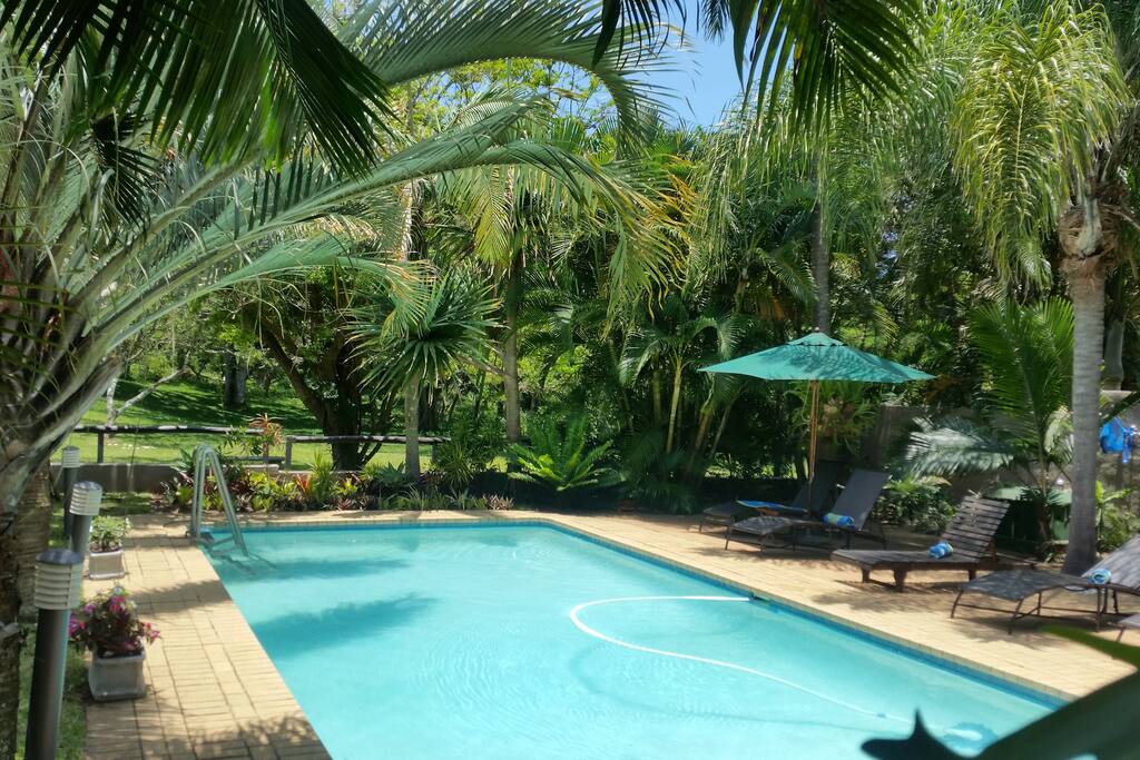 10 meter swimming pool, with view of the nature reserve