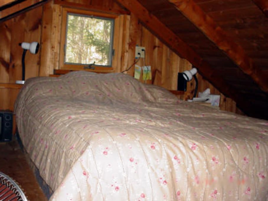 Loft Bed- Queen