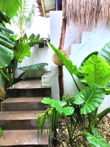 Tarzan's House managed Airbnb listing 2