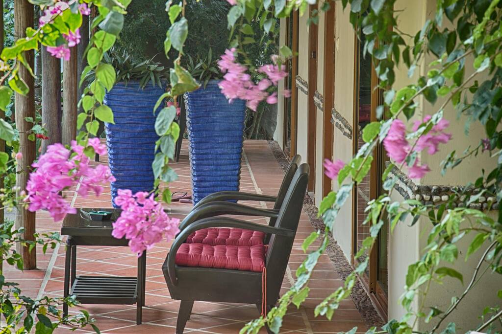Standard Terrace