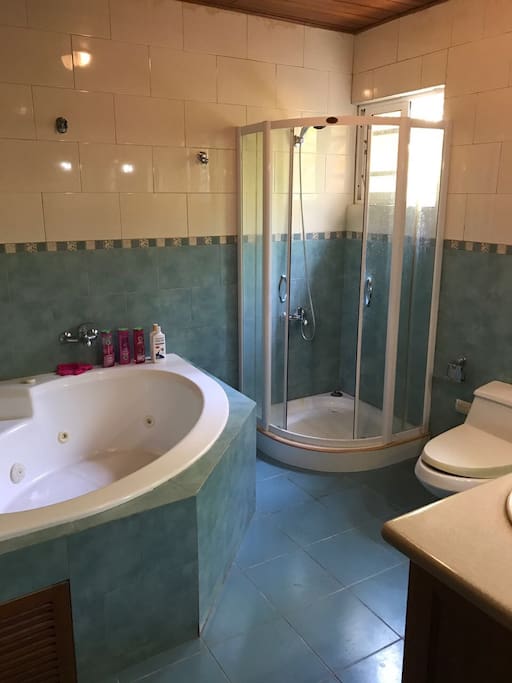 Master bathroom