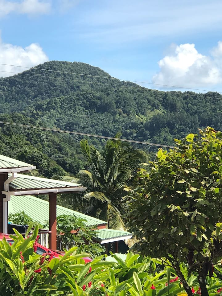 Saint Lucia Apartment Rentals House and Apartment Rentals Airbnb