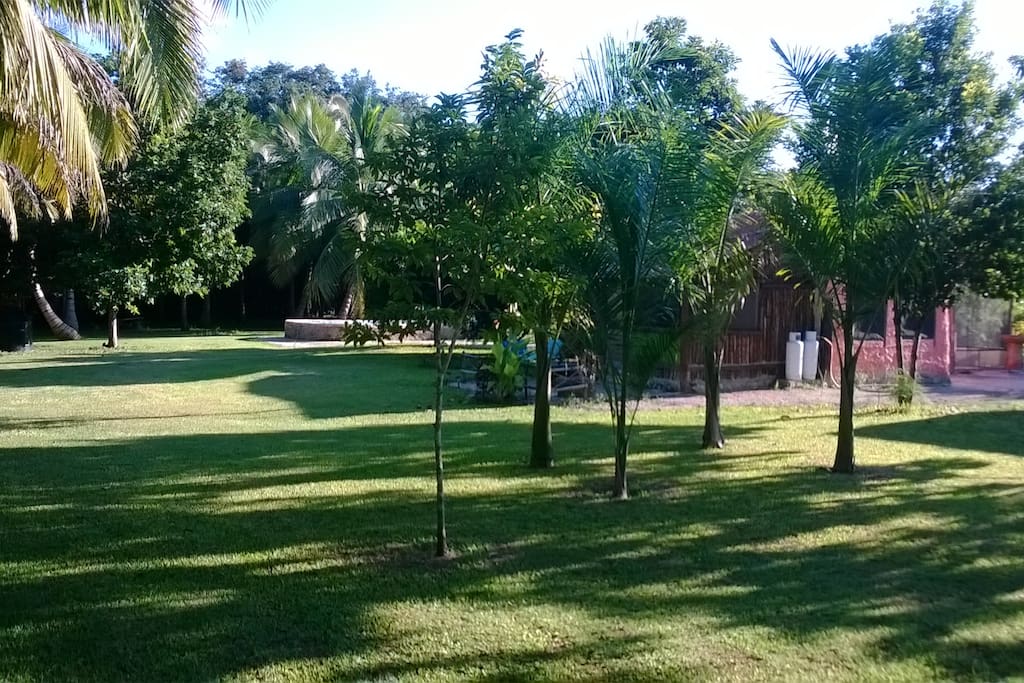 Yard view