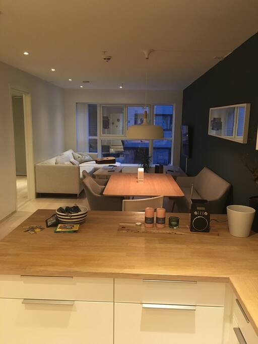 Living room - TV and Sleep sofa