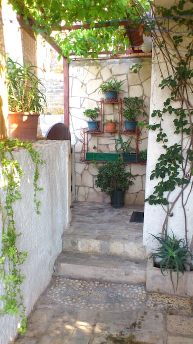 garden