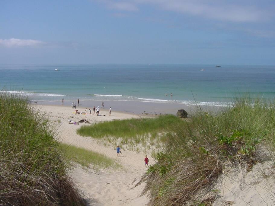 Path to the Beach