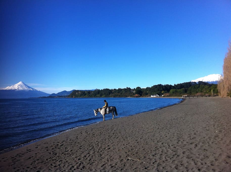 Rodeados por una naturaleza conmovedora entre volcanes, playas, bosque nativo y un hermoso humedal, a pasos de nuestro hogar ubicado en la comunidad rural de Puerto Rosales a 10 minutos de Puerto Varas, disfrutamos de la compañía de nuestros caballos. La estadía contempla una actividad out-door con caballos o trekking al día. Todos los espacios son de libre acceso a nuestros huéspedes.