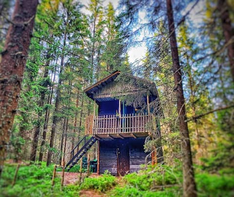 VLES cottage in the middle of the forest
