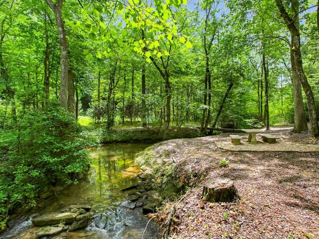 Easy Oasis at Sugar Creek